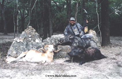 Ram and boars