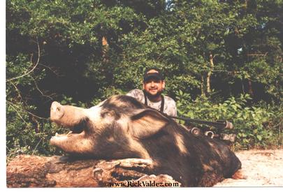 Wild Boar 450 lbs
