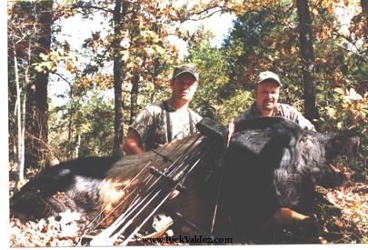 Wild Boar 650 lbs