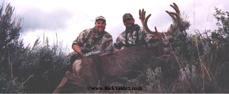 Mule Deer