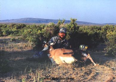 Antelope Buck
