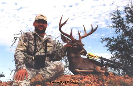 Texas Whitetail