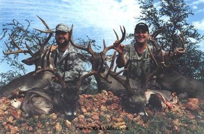 South Texas Whitetails