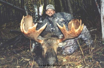 Bull Moose