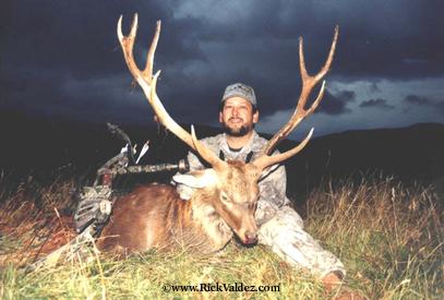 World Record Sika