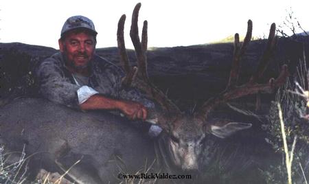 30 inch Mule Deer