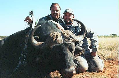 Cape Buffalo trophy taken July 2001 with Nico Lourens Safaris