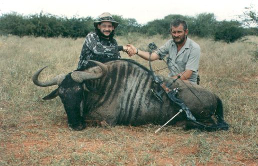 Blue Wildebeest