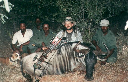 Blue Wildebeest