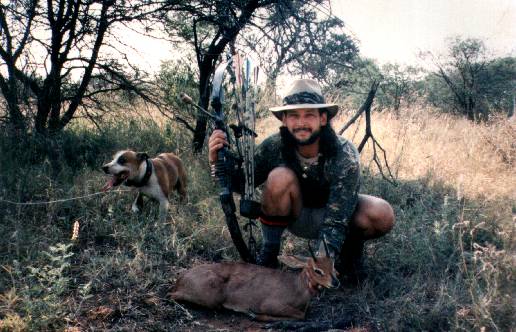 Steenbok