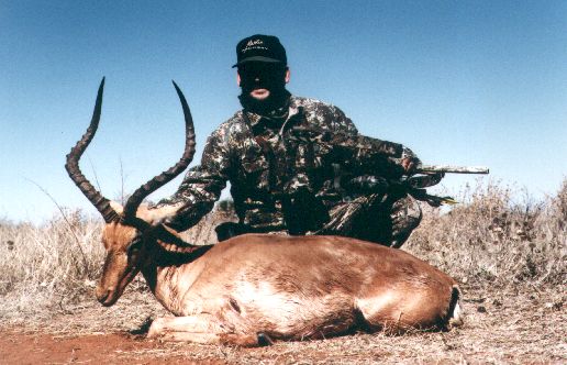 Southern Impala