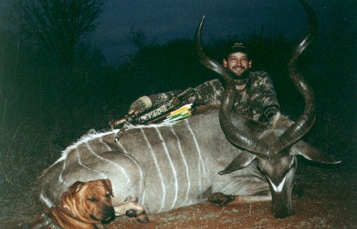Greater Kudu