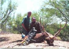 Axis Deer taken at Red Rock Ranch