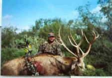 Pere David Deer at Red Rock Ranch