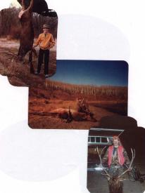 Mule deer and elk collage