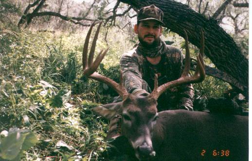 Texas Whitetail