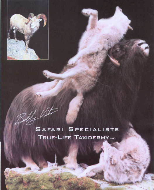 Safari Specialists True-Life Taxidermy